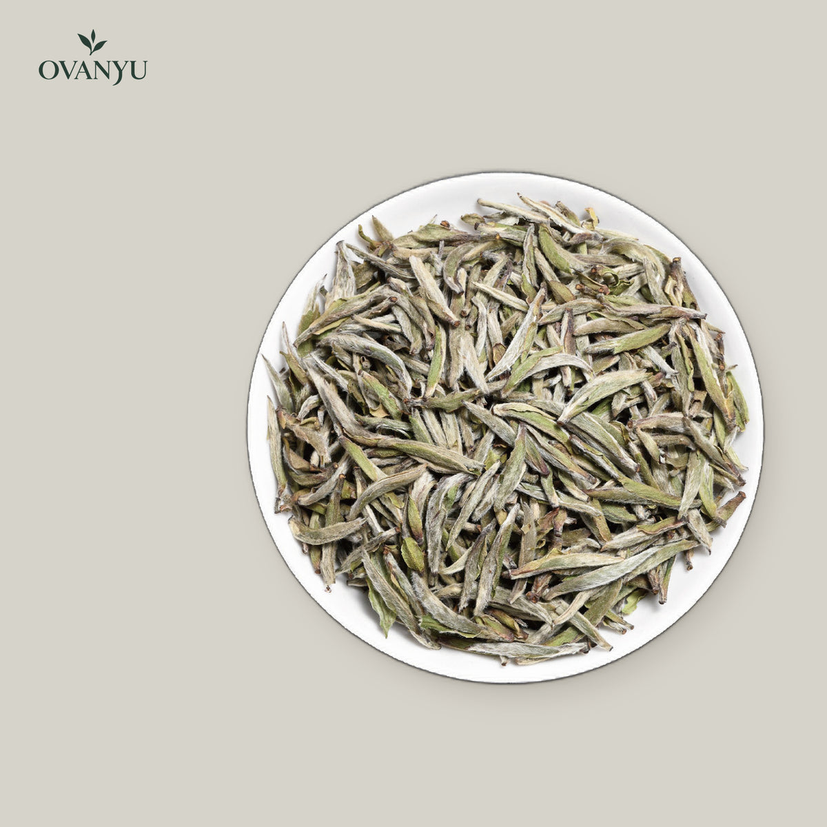 White Tea: Silver Needle (Bai Hao Yin Zhen) – Aged 3 Years — ovanyu
