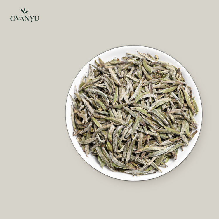 White Tea: Silver Needle (Bai Hao Yin Zhen) – Aged 3 Years — ovanyu