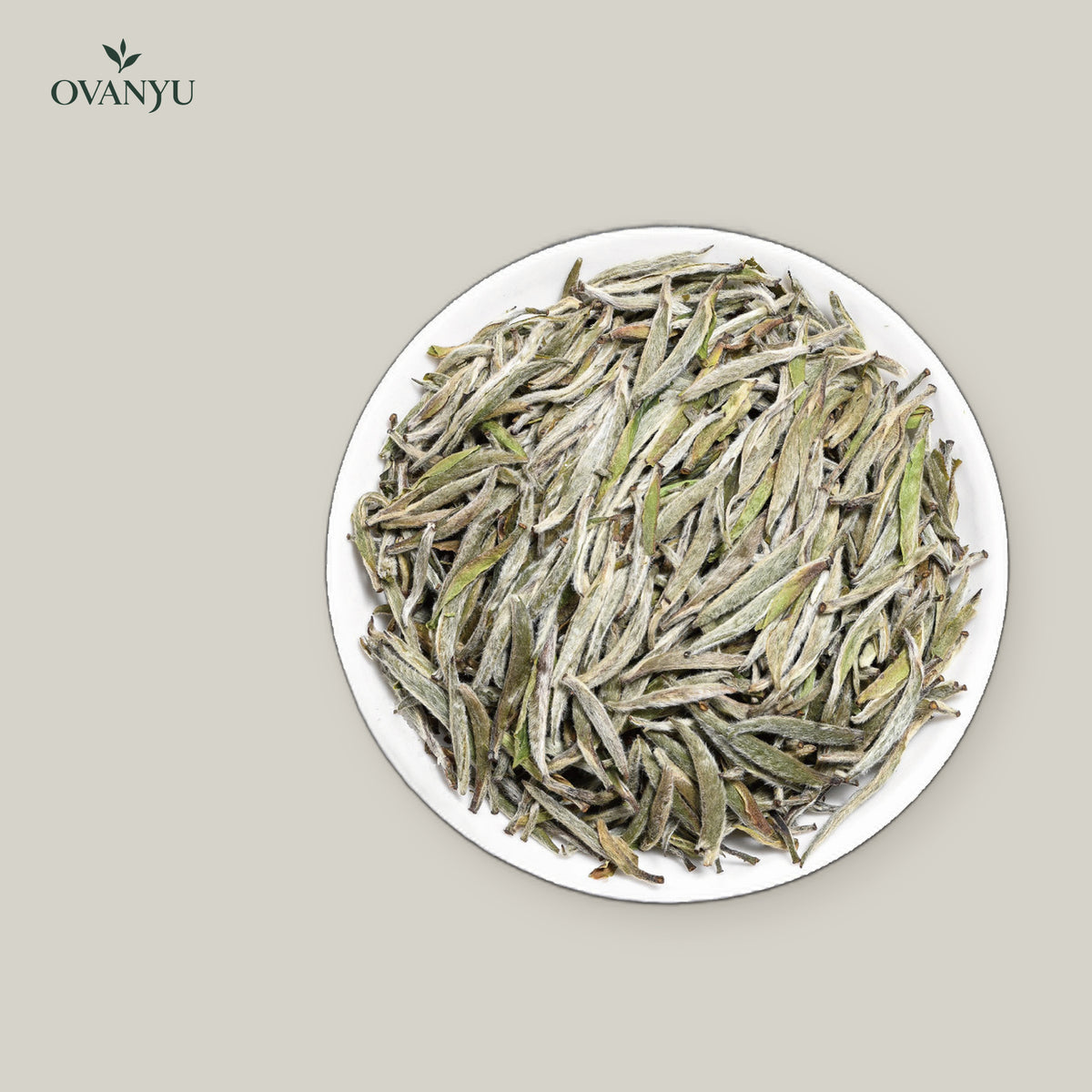 White Tea: Silver Needle (Bai Hao Yin Zhen) – Aged 2 Years — ovanyu
