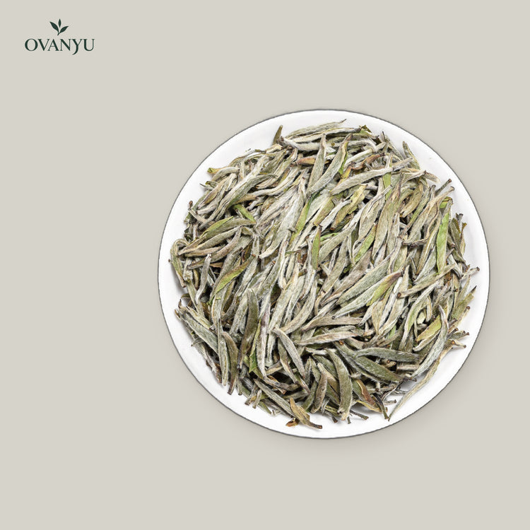 White Tea: Silver Needle (Bai Hao Yin Zhen) – Aged 2 Years — ovanyu