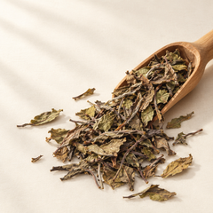 散落干茶 — White Peony 08 Dry Tea with Scoop